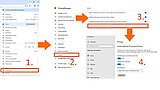 Konfiguration des Browsers Google Chrome