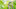 Der Newsletter ist da!